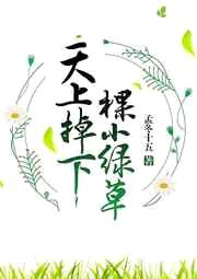 天上掉下棵小绿草